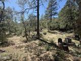 6873 Torpedo Road - Photo 41