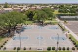 43222 Palmen Drive - Photo 45