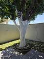 17438 Boswell Boulevard - Photo 12