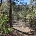 6755 Eureka Lane - Photo 24
