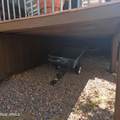 6755 Eureka Lane - Photo 28