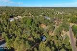 3307 Pine Cone Drive - Photo 42