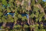 3307 Pine Cone Drive - Photo 43