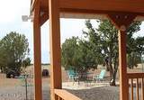 1325 Little Bit Drive - Photo 13