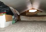 1325 Little Bit Drive - Photo 14