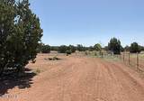 1325 Little Bit Drive - Photo 2