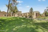 352 Carmen Street - Photo 31
