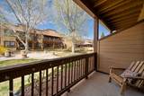 2395 Quarter Horse Trail - Photo 14