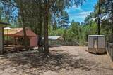 303 Saddle Lane - Photo 24