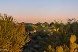 10231 Old Trail Road - Photo 60