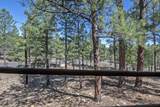 3215 Hopi Drive - Photo 4
