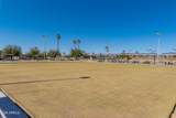 10606 Campana Drive - Photo 52