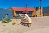 10606 Campana Drive - Photo 56