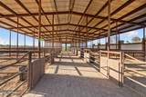 1025 Los Altos Drive - Photo 84