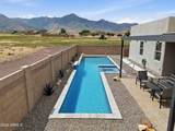 6691 Saddlehorn Circle - Photo 46