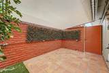 10419 Campana Drive - Photo 29