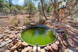 6720 Cheney Ranch Loop - Photo 20