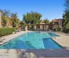 8260 Arabian Trail - Photo 43