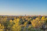 9934 White Feather Lane - Photo 8