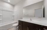 42955 Palo Nuez Street - Photo 19
