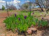 1835 Sugarloaf Road - Photo 34