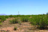 41 Acres Antelope Road - Photo 15