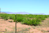 41 Acres Antelope Road - Photo 16