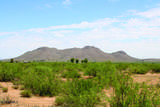 41 Acres Antelope Road - Photo 17