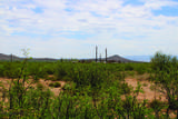 41 Acres Antelope Road - Photo 18