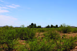 41 Acres Antelope Road - Photo 19