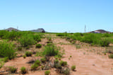41 Acres Antelope Road - Photo 20