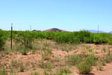 41 Acres Antelope Road - Photo 22