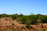 41 Acres Antelope Road - Photo 23