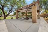1180 Ibis Street - Photo 61
