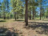 2701 Byrds View Drive - Photo 36