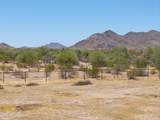 54650 Ivory Road - Photo 13