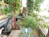 21 Temby Avenue - Photo 68