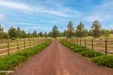 745 Dust Devil Drive - Photo 3