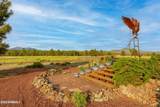 745 Dust Devil Drive - Photo 43