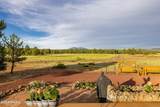 745 Dust Devil Drive - Photo 46