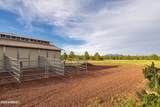 745 Dust Devil Drive - Photo 47
