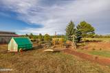745 Dust Devil Drive - Photo 65