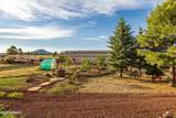 745 Dust Devil Drive - Photo 66