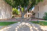 3119 Cochise Drive - Photo 8