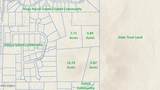 10879 Copa Del Oro Lane - Photo 3