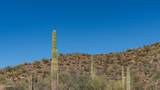 10879 Copa Del Oro Lane - Photo 9