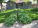 537 Willetta Street - Photo 1