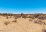 11980 Sweet Acacia Drive - Photo 10
