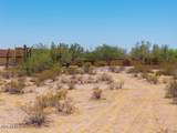 11980 Sweet Acacia Drive - Photo 12