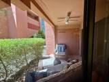 4303 Cactus Road - Photo 20